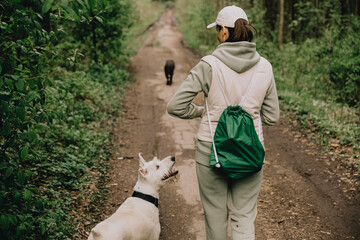 Professional dog walker. woman trains feeds dogs in forest. Dogs of different breeds. woman is wearing hat, vest. walking with pets in park. Happy animals are running around forest without leashes.