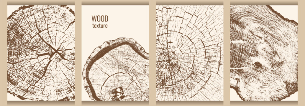 Natural eco background with wood texture. Cross-section of tree trunk with visible growth rings and cracks. Template for menu cover, brochure, flyer. Vector illustration.