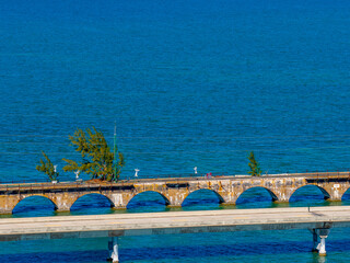 Aerial photo Fred the tree in the Florida Keys on the old railroad line circa 2025