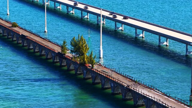 Fred The Tree in the Florida Keys. 4k aerial drone parallax video 2025