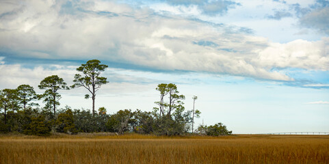 Panormaic view of coastal salt marsh and islands at Hunting Island, South Carolina