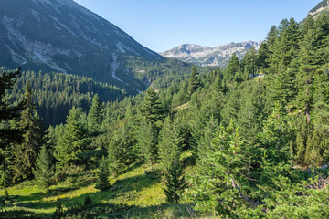 Obraz premium Landscape of Pirin Mountain near Banderitsa Area, Bulgaria