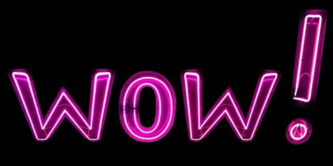 WOW! n&eacute;ons roses