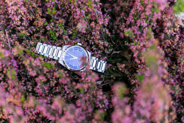 reloj, cronometrar, tiempo, reloj de pulsera, naturaleza, flor, florecer, morada, violacea, beldad, bodeg&oacute;n