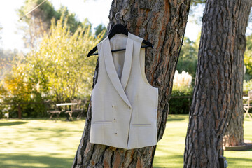 beldad, moda, &aacute;rbol, al aire libre, estilo de vida, chaleco, vestimenta, crema