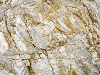 Organic Stone Surface with Fine Grain Detail