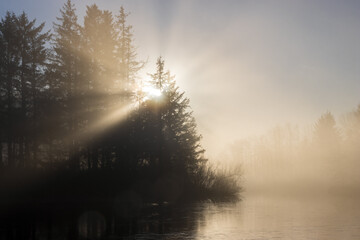 soft sun rays in fog symbolizing loss and remembrance