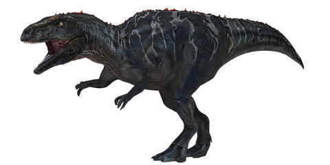 Fototapeta premium Roaring dinosaur against a white background.