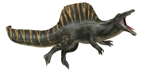 Fototapeta premium Realistic illustration of a Spinosaurus dinosaur