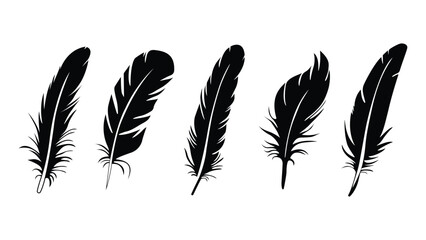Collection of black feather silhouettes on a © Graphivec
