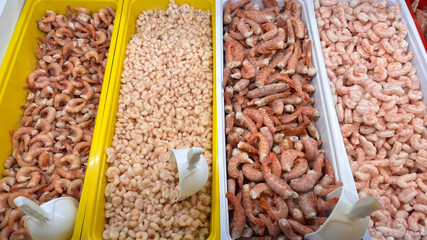 Various types of frozen shrimp, sorted by size and displayed on a fishmonger's counter in a traditional market setting. An image appropriate for concepts related to fish markets.