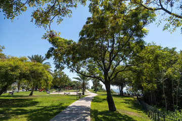 Obraz premium Scenic view of Yalim Park with green lawn and leafy trees against a blue sky. Sunny morning in a public coastal park in the Mediterranean region. September, Antalya, Turkey.