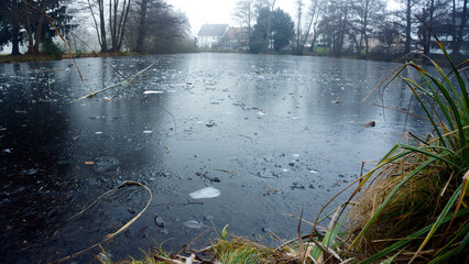 Winter nature landscape with frozen lake and leafless trees in fog. Cold misty morning by the water, bare branches reflected in ice, yet green bushes and shrubs adding contrast, quiet seasonal scenery