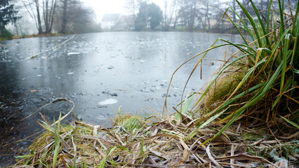 Winter nature landscape with frozen lake and leafless trees in fog. Cold misty morning by the water, bare branches reflected in ice, yet green bushes and shrubs adding contrast, quiet seasonal scenery