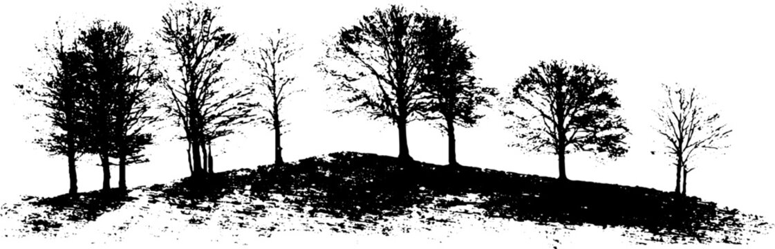 Black and white woodland silhouette illustration with trees and shadows for nature art and design