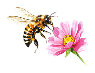 Honey bee pollinating a vibrant pink flower, beautifully rendered in a detailed watercolor illustration capturing nature's delicate balance.