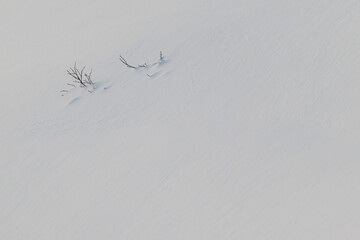 雪に覆われた大地