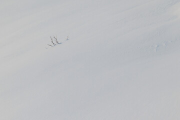 雪に覆われた大地