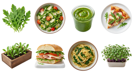 set of arugula and rocket salad in different forms, including fresh leaves, pesto and dish, isolated on a transparent background