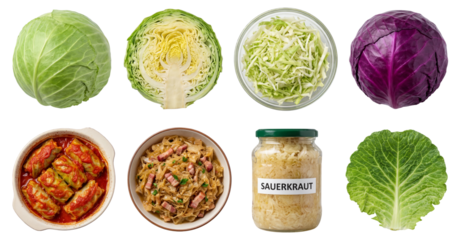 set of cabbage in different forms, including whole, shredded and cooked, isolated on a transparent background