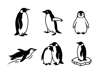Vector Illustrations of Penguins in Various Natural Behaviors