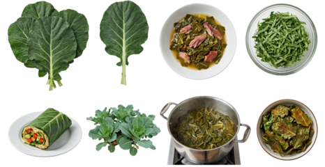 set of collard greens in different forms, including fresh leaves, cooked and wrap, isolated on a transparent background