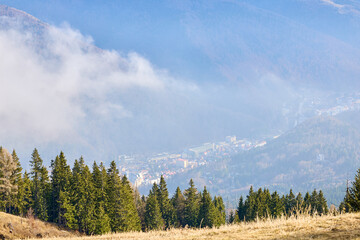 Scenic mountain village shrouded in mist with lush pine forests