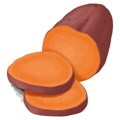 Sliced sweet potato illustration