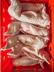 Fresh, raw rabbit carcasses stacked in a red plastic transport box, shown in portrait orientation with bright, industrial lighting in a professional butchery