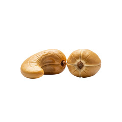 Two Cashew Fruits on Transparent Background