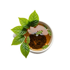 Tea cup with green leaves