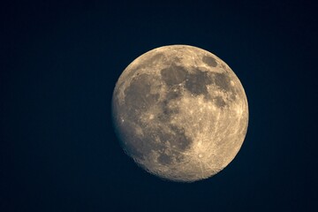 full moon in the night © talavietis