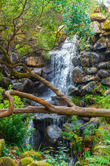 Rocky waterfall flowing through a forest with green trees during autumn. Clean natural landscape background, no people.