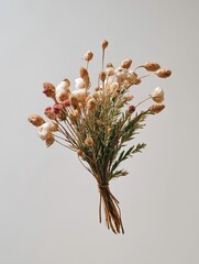 A Beautifully Arranged Bouquet of Dried Flowers in Soft Neutral Tones Perfect for Home Decor or Special Occasions