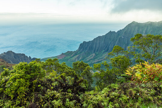 Na pali coast kauai ocean landscape with tropical mountains