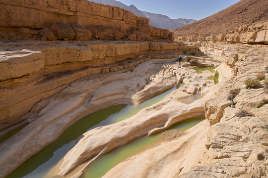 Wadi Hemar in Judean Desert after flood. Water pools created by heavy rain. Rare desert landscape. White riverbed of the wadi. Reflection of cliffs in pools. A female tourist walking along the wadi.