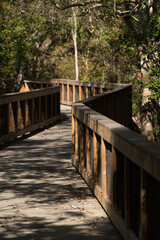 Curving Nature Boardwalk Through Forest, Weedon Island Preserve