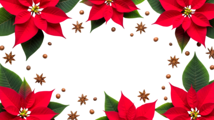 Vibrant poinsettia flowers and aromatic star anise create a festive holiday frame, adorned with small brown spice berries, perfect for seasonal greetings and celebrations.