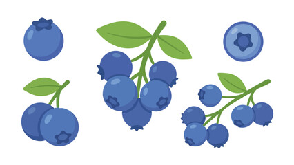 Blueberry Illustration Set with Whole Berries Clusters and Leaves in Flat Style