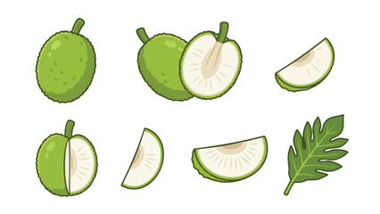 Breadfruit Illustration Set with Whole Fruit Sliced Pieces and Leaf in Flat Style