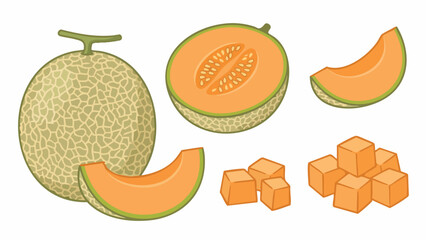 Cantaloupe Illustration Set with Whole Melon Halves Slices and Cubes in Flat Style