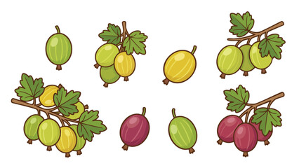 Gooseberry Fruit Illustration Set with Green and Red Berries