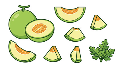 Honeydew Melon Illustration Set with Whole Fruit, Slices and Leaf