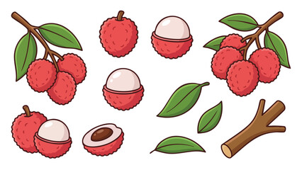Lychee Fruit Illustration Set with Whole, Peeled and Seed