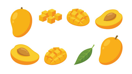 Mango Fruit Illustration Set with Whole, Cubes and Halves