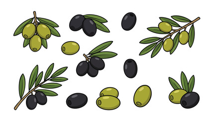 Olive Fruit Illustration Set with Green and Black Olives