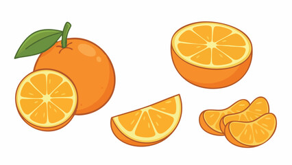 Orange Fruit Illustration Set with Whole and Sliced Orange