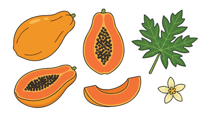 Papaya Fruit Illustration Set with Whole and Sliced Papaya