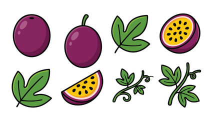 Passion Fruit Illustration Set with Whole, Half, Slice, Leaves and Vine