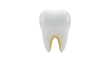 Rendered Tooth with Staining